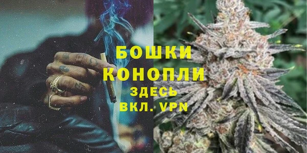 ГАЛЛЮЦИНОГЕННЫЕ ГРИБЫ Балабаново