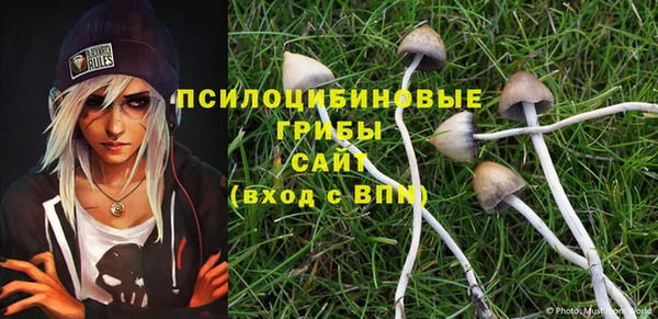 PSILOCYBIN Баксан