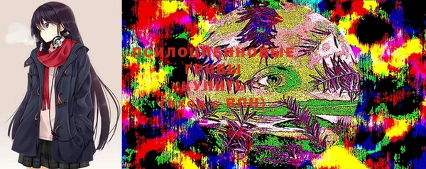 ГАЛЛЮЦИНОГЕННЫЕ ГРИБЫ Балабаново
