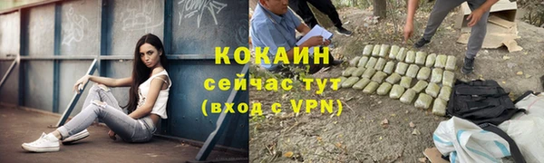 PSILOCYBIN Баксан