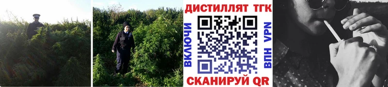 Дистиллят ТГК вейп с тгк  Верхнеуральск 