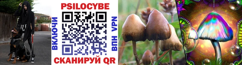 наркотики  Верхнеуральск  Псилоцибиновые грибы мухоморы 